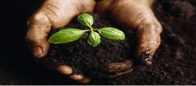 Waste_to_Wealth_Products
